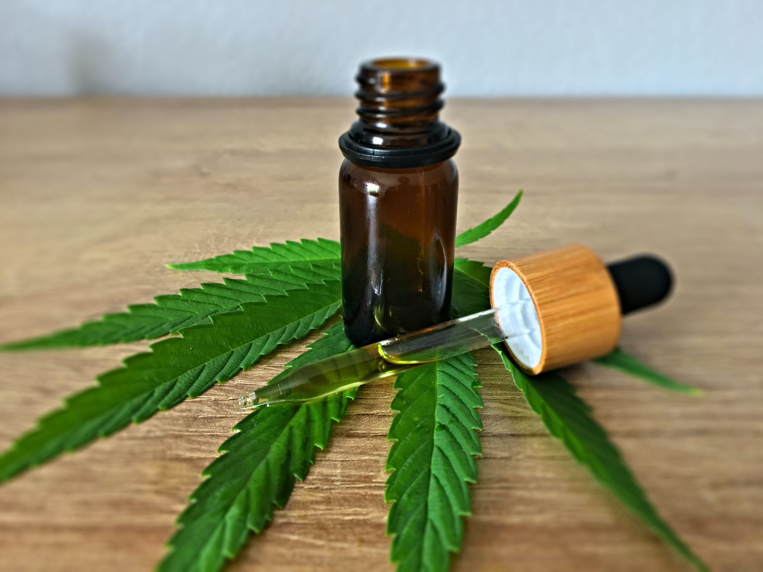 Propiedades Curativas Cannabis Tiendas CBD Colombia